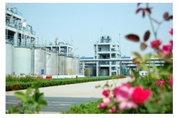 尊龙抖圈 - 为du而生